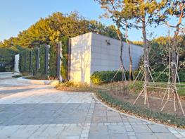 고양시, 일산동구청 광장에 450㎡ 수직정원 조성 완료 기사 이미지