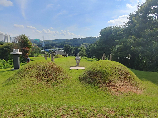 청송심씨 문중묘역