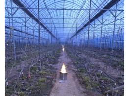 파주시, 원예특작분야 기술보급사업 대상자 모집 기사 이미지