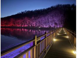 빛으로 새롭게 태어난 파주 공릉호수, 야간 명소로 거듭나다! 기사 이미지