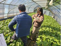 고양시, 시설채소 농가에 에너지 절감 현장기술 지원  기사 이미지