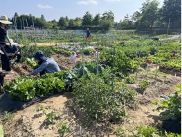 2026년 파주시 시민주말농장 신청 기사 이미지