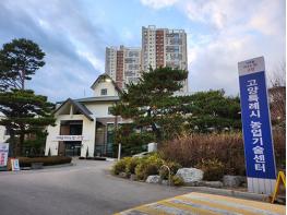 고양시, 감자 보급종 수급난 뚫고 ‘안정적 공급’… 농가 시름 덜었다 기사 이미지