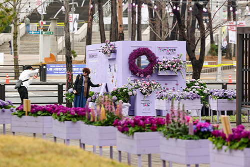 BTS 콘서트 열린 고양시, 보랏빛으로 가득한 화훼 포토존 조성 