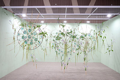 솔로몬 레옹 Solomon Leong 홍콩