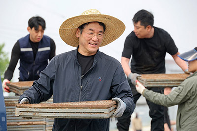 이동환 고양시장, 가와지 모판나르기 동참