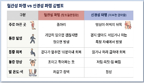 걷기만 하면 다리 통증 있다던 부모님, 문제는 ‘허리’ 아닌 ‘혈관’?
