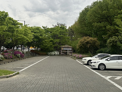 덕이도서관 유료화 후 