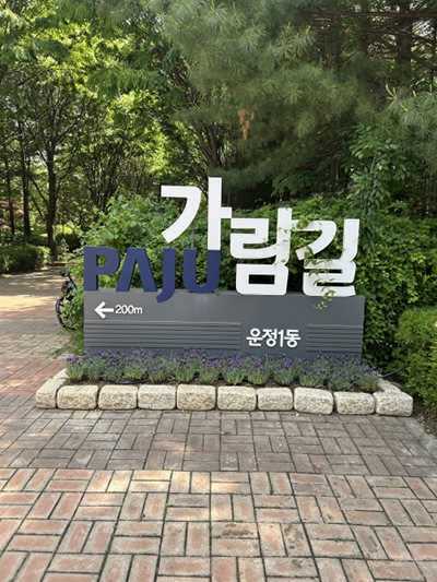 라벤더 향기 흐르는 파주시 운정1동, 시민과 소통하는 정원으로 물들다
