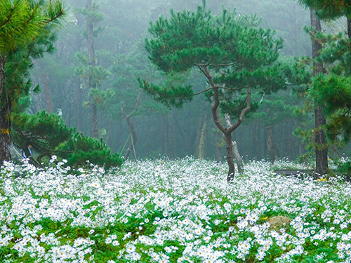 파주 율곡수목원, 가을맞이 ‘율곡힐링캠프’ 운영